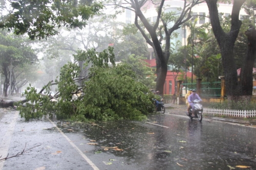 Bão Nida có thể mạnh lên gần cấp siêu bão khi vào biển Đông