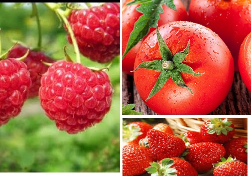 Những ngày nắng nóng, sử dụng các loại quả như cà chua, mâm xôi hay dâu tây là lựa chọn hoàn hảo để có làn da tươi sáng. 