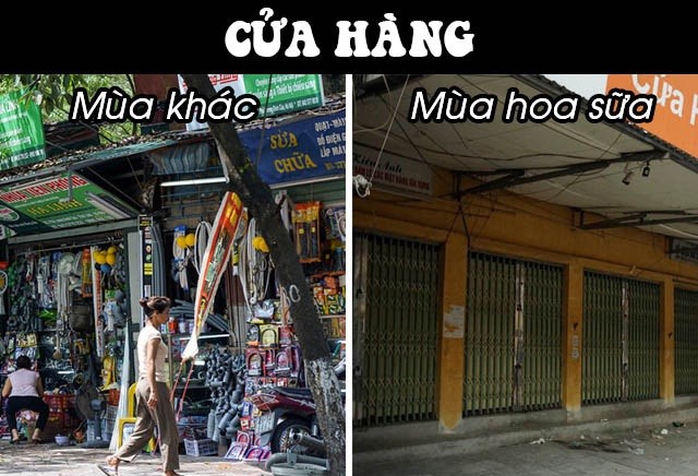 anh-che-hoa-sua-12