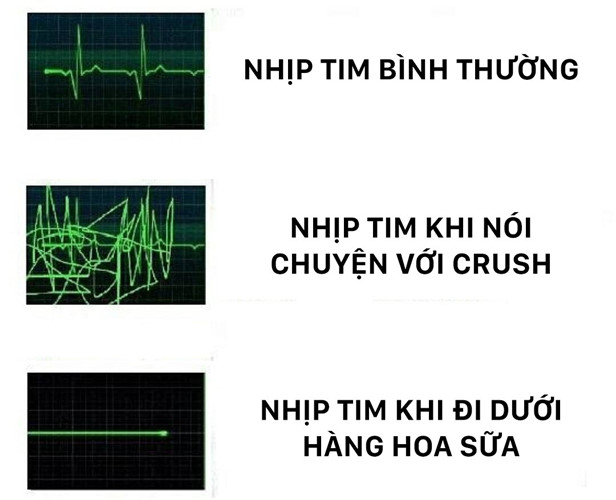 anh-che-hoa-sua-3