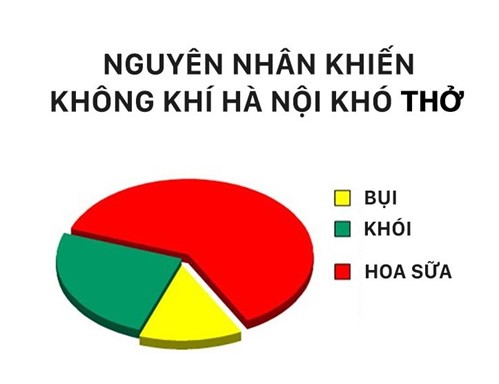 anh-che-hoa-sua-5
