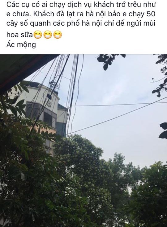 anh-che-hoa-sua-8