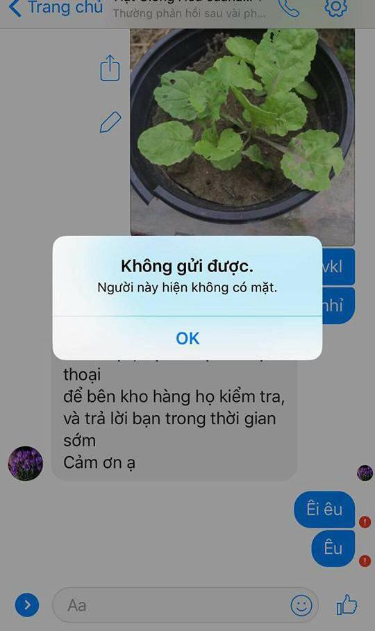 mua hàng qua mạng mua hàng qua mạng