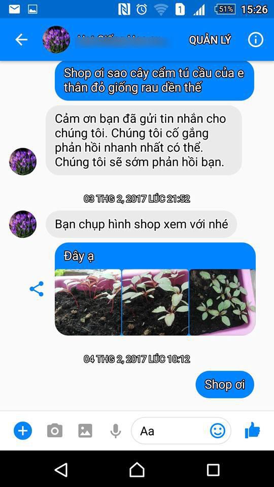 mua hàng qua mạng mua hàng qua mạng