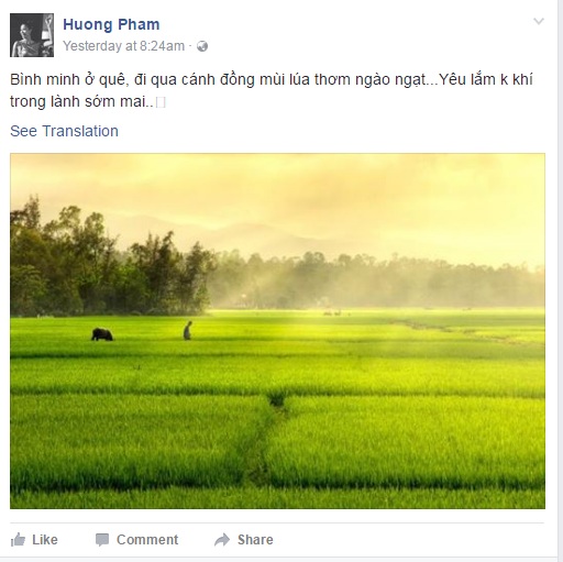 phma-huong1