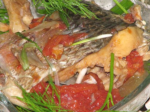 Image result for cá CHÉP sốt cà chua