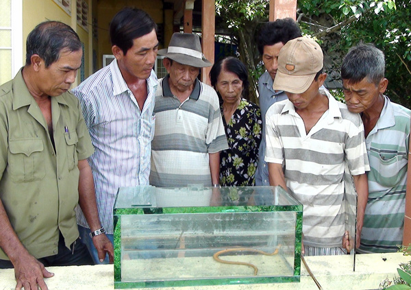 Mô tả ảnh.