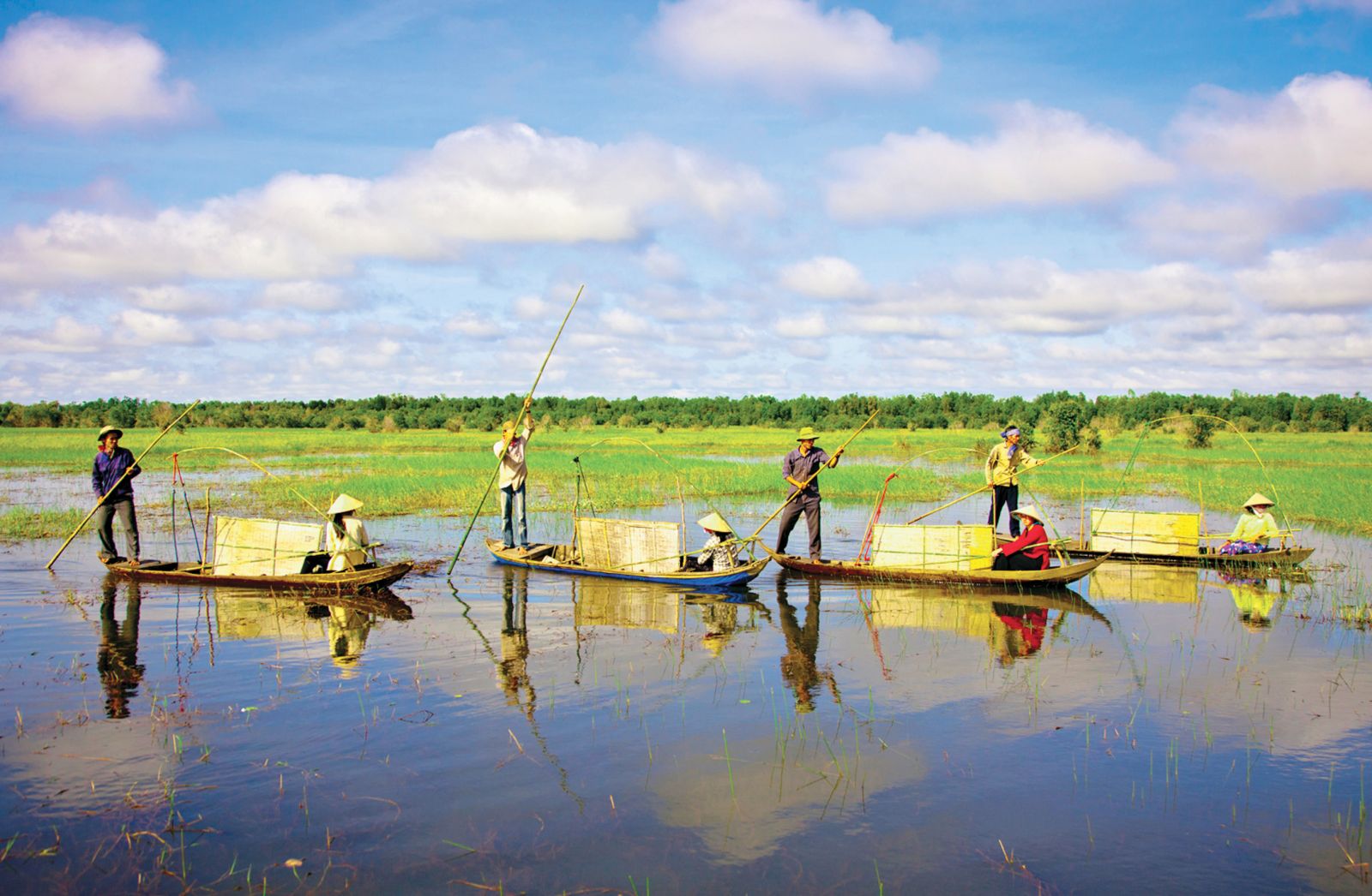 Mô tả ảnh.