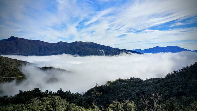 Mô tả ảnh.