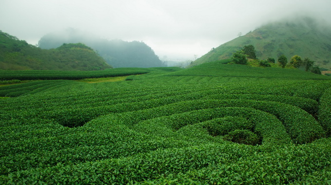 Mô tả ảnh.