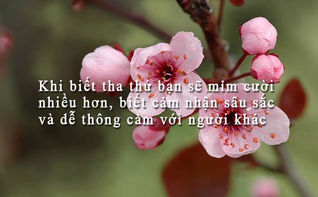 Mô tả ảnh.