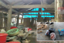 Mất 7.000 đồng, mẹ hành hạ, ép 2 con trai thắt cổ, uống thuốc diệt cỏ đến nguy kịch