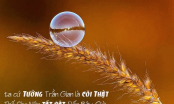 Đâu là mục đích chân chính của nhân sinh trong cõi mê này
