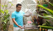 Lý Hùng 'tậu' biệt thự triệu đô, sang chảnh như khách sạn 5 sao để chuẩn bị cưới vợ?