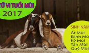 Đinh Dậu 2017: Lý do bạn nên hợp tác làm ăn với người Tuổi Mùi