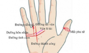 Sở hữu tướng tay này cả đời long đong, lận đận – khổ sở đủ đường