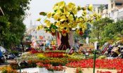 Xuất hành năm mới 2017: Ngày mồng 3 tết đi theo hướng này tiền đếm mỏi tay, vận may kéo đến