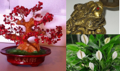 Vật phẩm phong thủy: Có 1 trong 4 vật này trong nhà sẽ rinh tài lộc, may mắn đến cho gia chủ