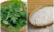 Xẹp mụn, da trắng, eo thon chỉ với 1 nắm rau ngải cứu