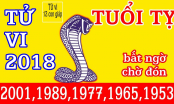 CÁT VẬN NĂM 2018 của người tuổi Tỵ sẽ thế nào?