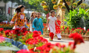 Xuất hàng ngày mồng 4 tết 2018: Xuất hành hướng nào giờ nào tốt để RƯỚC TÀI ĐÓN LỘC KÉO TIỀN CỦA VỀ NHÀ?