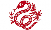 Sinh năm 2001 mệnh gì?