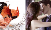 Những con giáp được tuổi kết hôn năm 2018