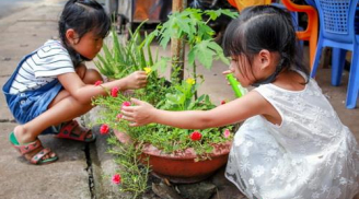 Hai bé gái bị trao nhầm ở Bình Phước sau một năm về với gia đình: Từng khóc đòi về với bố mẹ nuôi