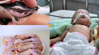 Những loại thịt mẹ tuyệt đối không cho bé ăn kẻo rước họa vào thân