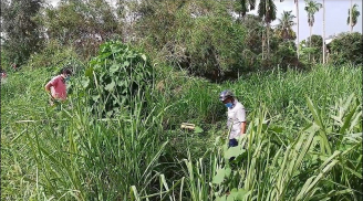 Phát hiện thi thể người đàn ông xăm trổ phân hủy mạnh trong đám cỏ