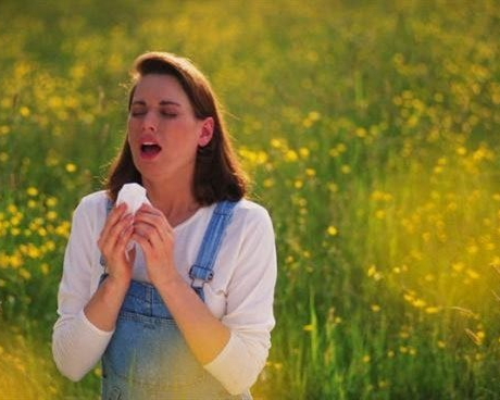 Hướng dẫn cách phòng bệnh vào mùa xuân