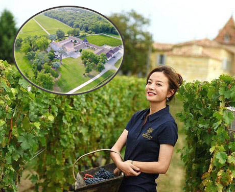 'Đã mắt' với vườn nho rộng thênh thang trong lâu đài 400 tuổi tại Pháp của gia đình 'Én nhỏ' Triệu Vy