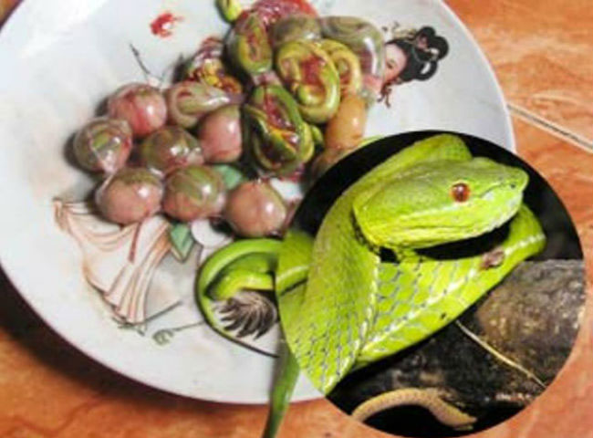 Những bào thai rắn được lấy nguyên từ bụng rắn mẹ được bầy ra đĩa và trở thành thứ thức ăn bổ dưỡng cho những quý ông tin vào khả năng của loại đồ ăn kinh dị này.