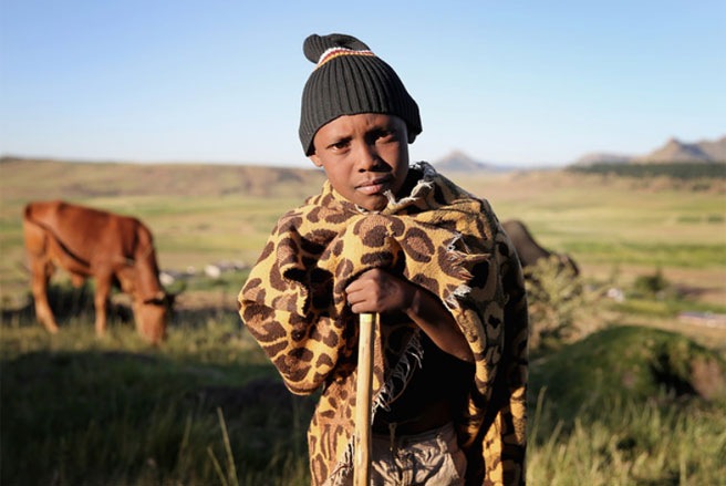 Một cậu bé đang chăn bò ở Morija, Lesotho, hồi tháng 2 năm nay - Tin: WSJ/Ảnh: Getty.
