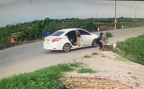 Người phụ nữ đi ô tô bê trộm chậu cây ở trước một trang trại hoa ở Mê Linh, Hà Nội.    
