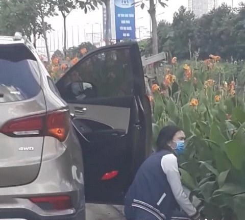 Tại TP HCM, một người phụ nữ khác dừng ô tô, mở cửa để che chắn và bước xuống trộm những khóm hoa được trồng làm cảnh ở ven đường.