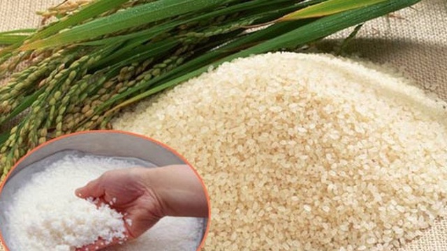 Mẹo giúp bạn chọn gạo thật gạo giả 