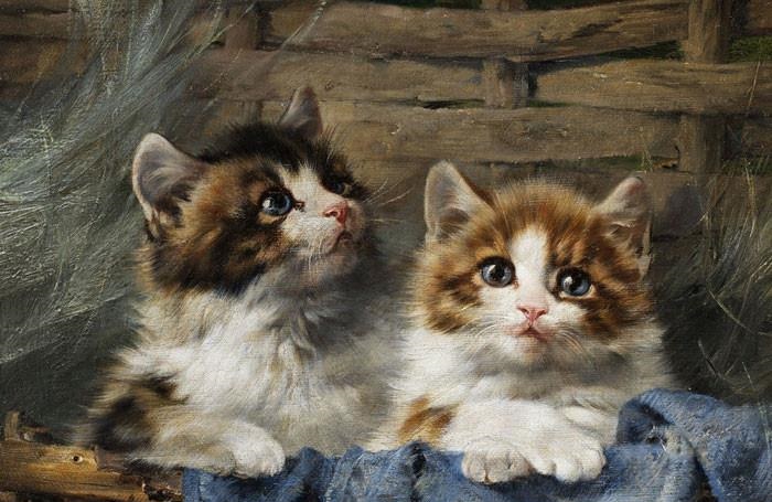 cat-animal-oil-painting-artworks56083405194