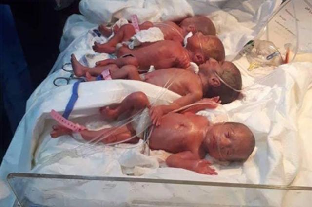 6 em bé được sinh ra đều rất ổn định về sức khỏe