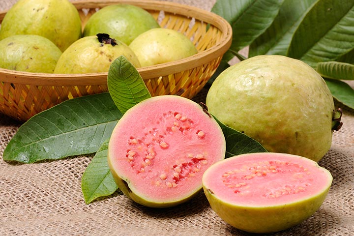 Guava-For-Babies