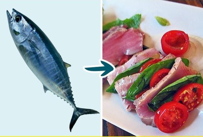 Cá ngừ nhiều thủy ngân trẻ  con tuyệt đối không nên ăn