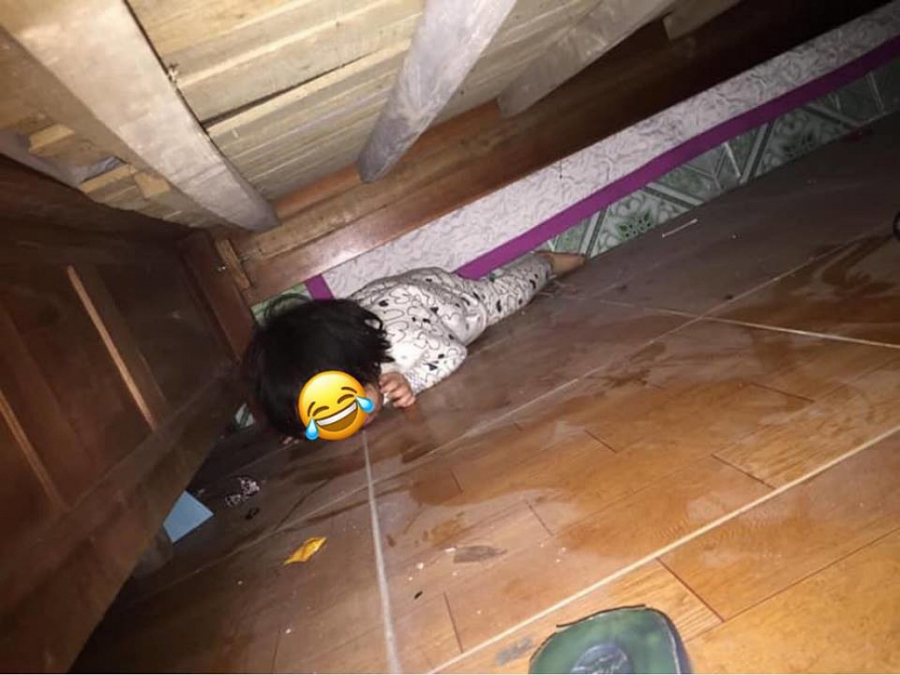 Cô con gái đang ở dưới gầm giường chơi với… gián.