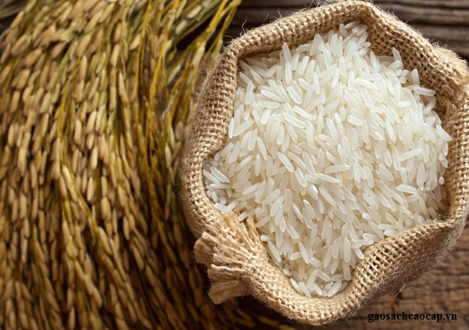 Gạo thật có mùi thơm tự nhiên