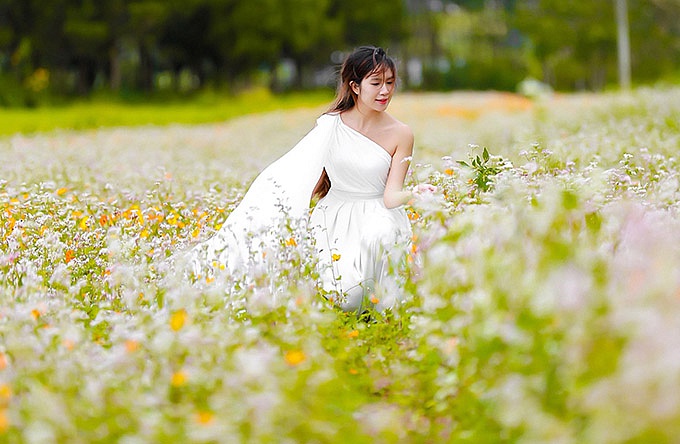 Minh Hà tạo dáng trên một cánh đồng hoa ở Lâm Đồng. Trong phim mới, vợ chồng Lý Hải bỏ tiền túi đầu tư 17 tỷ đồng.    