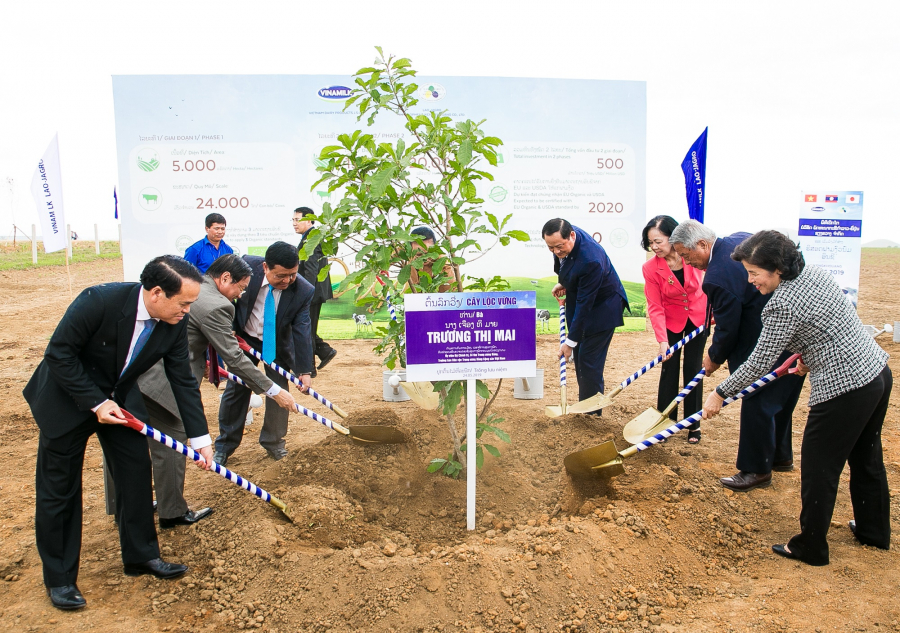 Nhân dịp khởi công “Resort” bò sữa Organic, các đại biểu đã trồng cây chăm pa, cây lộc vừng và cây hoa anh đào tượng trưng cho 3 nước Lào - Việt Nam – Nhật Bản