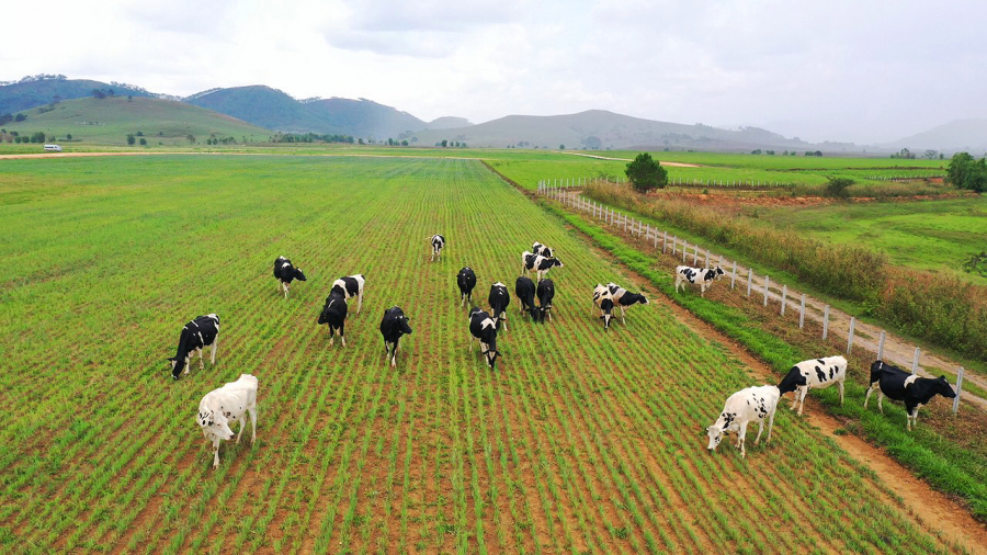 Vinamilk tiếp tục ghi dấu trên bản đồ Organic thế giới với siêu dự án “Resort” bò sữa tại Lào