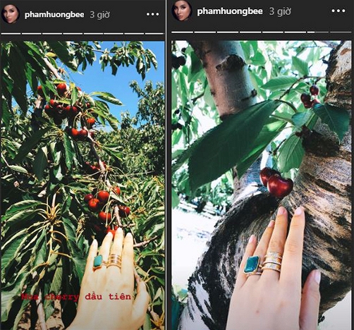 Hai chiếc nhẫn quý được Phạm Hương khoe trên story của Instagram.    
