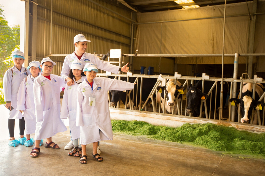 Tặng 1 LIKE cho các cô bò vì đã mang về nguồn sữa tươi ngon cho hàng triệu gia đình Việt Nam!