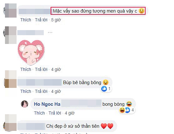 Thay vì trả lời nhiệt tình như các bình luận khác, Hồ Ngọc Hà đã