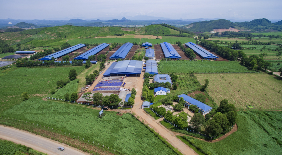 Trang trại bò sữa Nghệ An là trong 3 trang trại đạt chuẩn quốc tế Global G.A.P. của Châu Á tại thời điểm khánh thành năm 2014